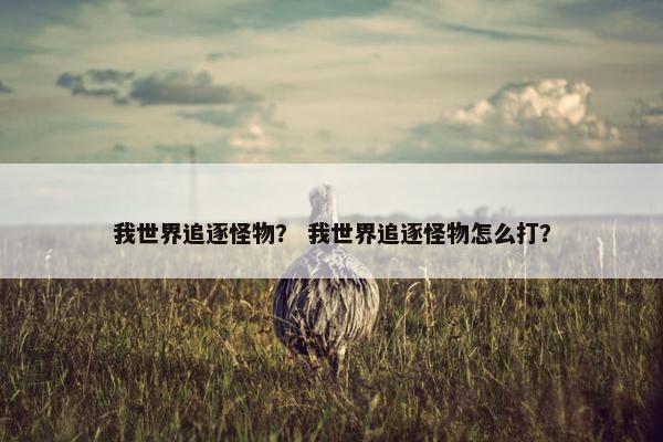 我世界追逐怪物？ 我世界追逐怪物怎么打？