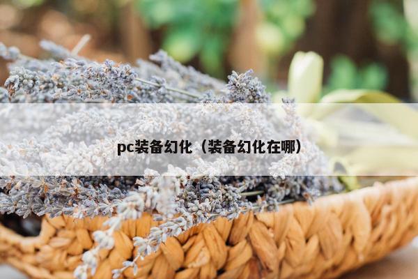 pc装备幻化（装备幻化在哪）