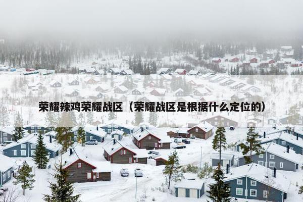 荣耀辣鸡荣耀战区（荣耀战区是根据什么定位的）
