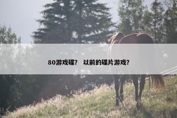80游戏碟？ 以前的碟片游戏？