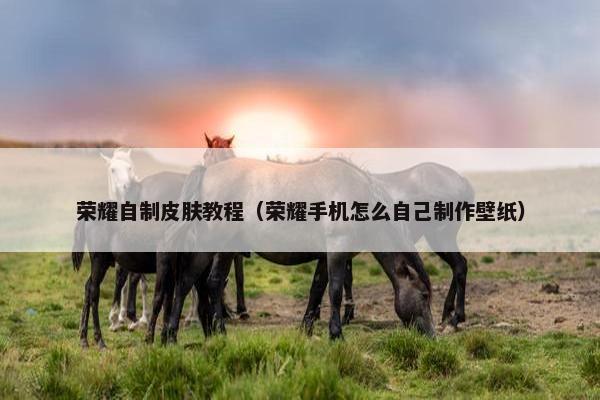 荣耀自制皮肤教程（荣耀手机怎么自己制作壁纸）