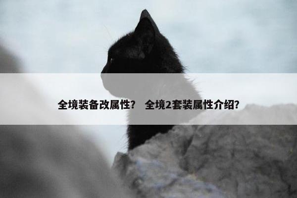 全境装备改属性？ 全境2套装属性介绍？