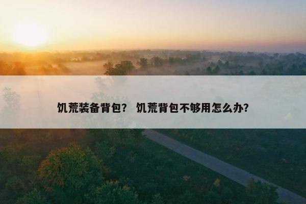饥荒装备背包？ 饥荒背包不够用怎么办？