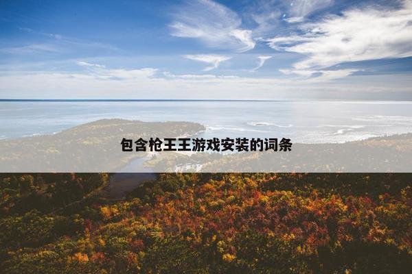 包含枪王王游戏安装的词条