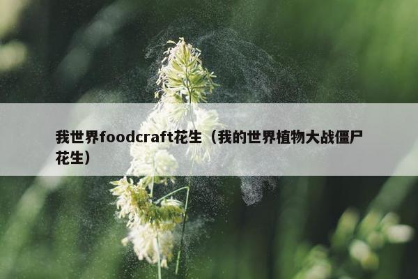 我世界foodcraft花生（我的世界植物大战僵尸花生）