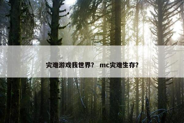 灾难游戏我世界？ mc灾难生存？