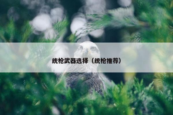 统枪武器选择（统枪推荐）