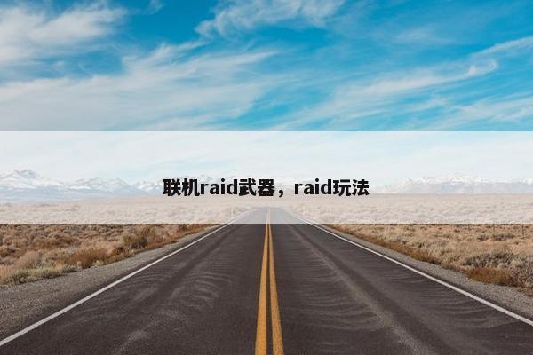 联机raid武器，raid玩法