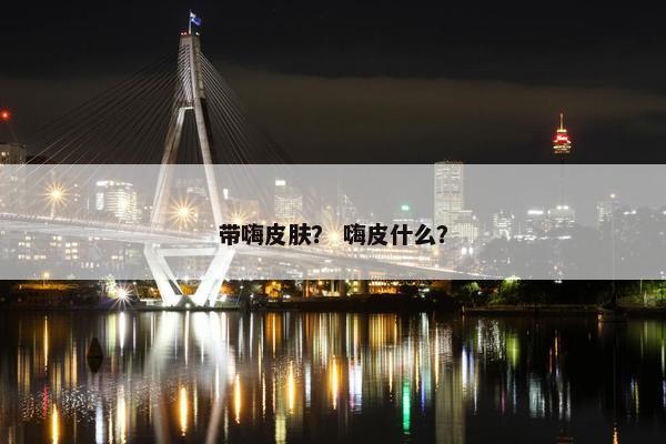 带嗨皮肤？ 嗨皮什么？