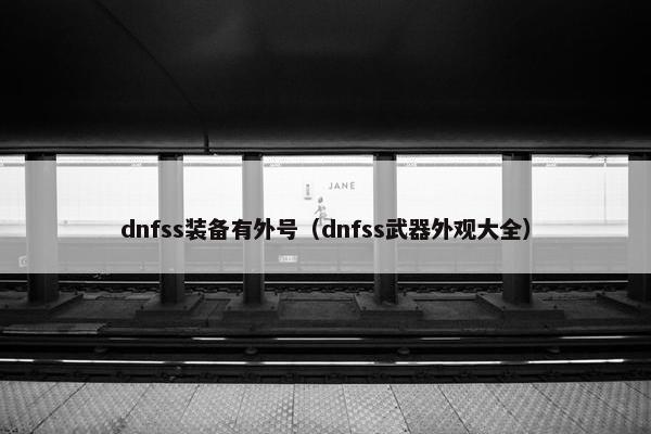 dnfss装备有外号（dnfss武器外观大全）