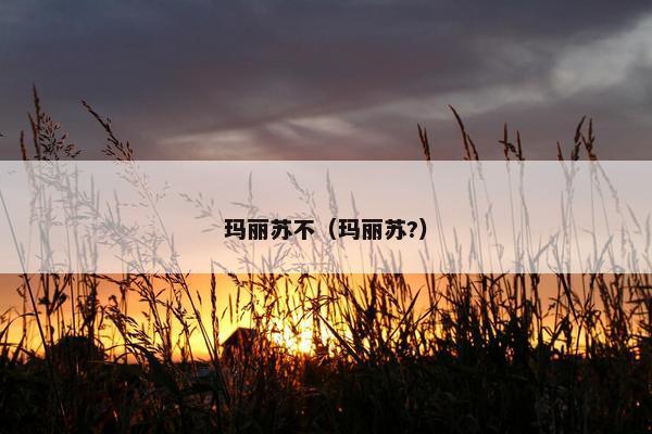 玛丽苏不（玛丽苏?）