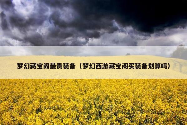 梦幻藏宝阁最贵装备（梦幻西游藏宝阁买装备划算吗）