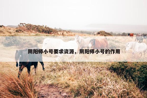 阴阳师小号要求资源，阴阳师小号的作用