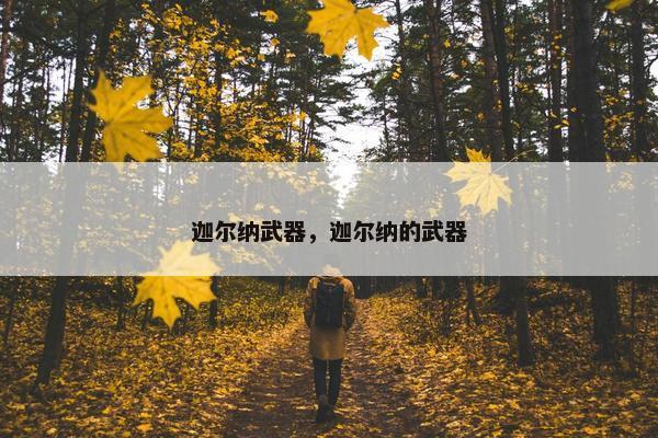 迦尔纳武器，迦尔纳的武器
