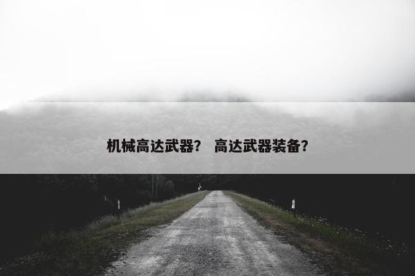 机械高达武器？ 高达武器装备？