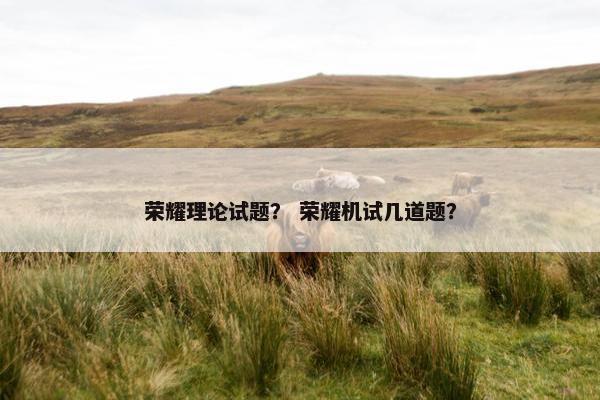 荣耀理论试题？ 荣耀机试几道题？