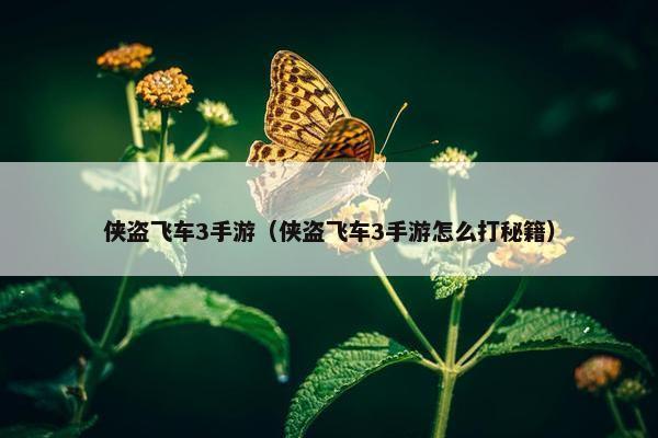 侠盗飞车3手游（侠盗飞车3手游怎么打秘籍）