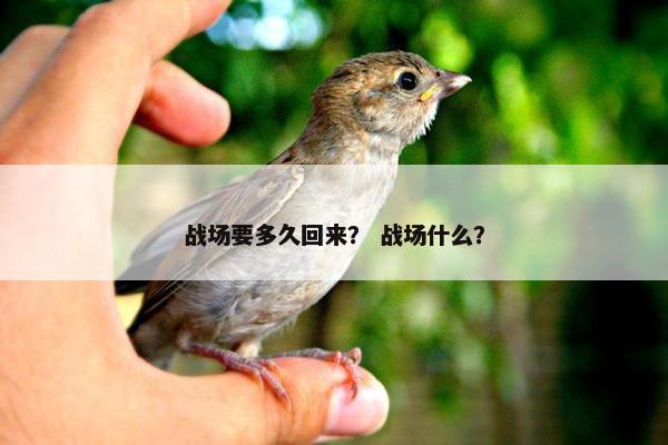 战场要多久回来？ 战场什么？