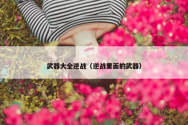 武器大全逆战（逆战里面的武器）