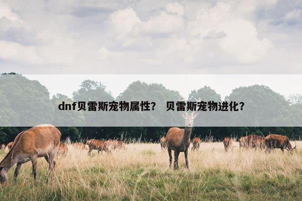dnf贝雷斯宠物属性？ 贝雷斯宠物进化？