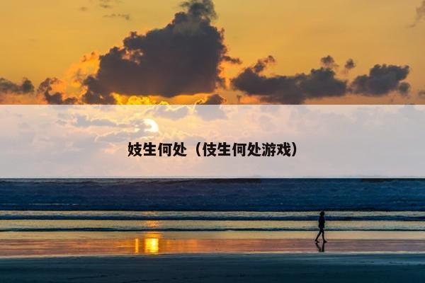 妓生何处（伎生何处游戏）
