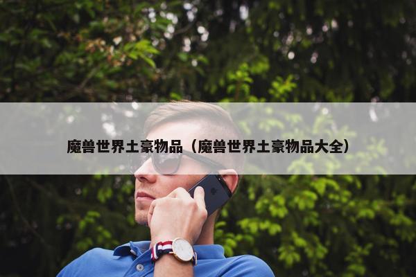 魔兽世界土豪物品（魔兽世界土豪物品大全）