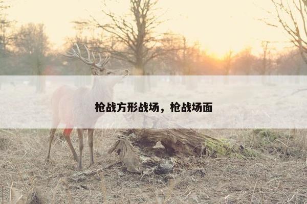 枪战方形战场，枪战场面