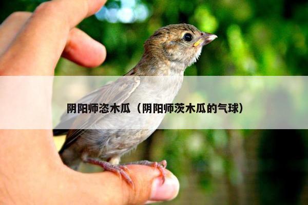 阴阳师恣木瓜（阴阳师茨木瓜的气球）