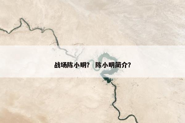 战场陈小明？ 陈小明简介？