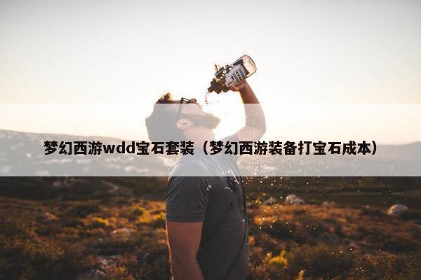 梦幻西游wdd宝石套装（梦幻西游装备打宝石成本）