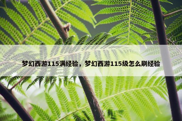梦幻西游115满经验，梦幻西游115级怎么刷经验