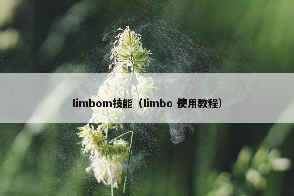 limbom技能（limbo 使用教程）