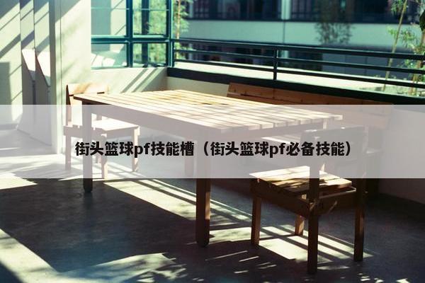 街头篮球pf技能槽（街头篮球pf必备技能）