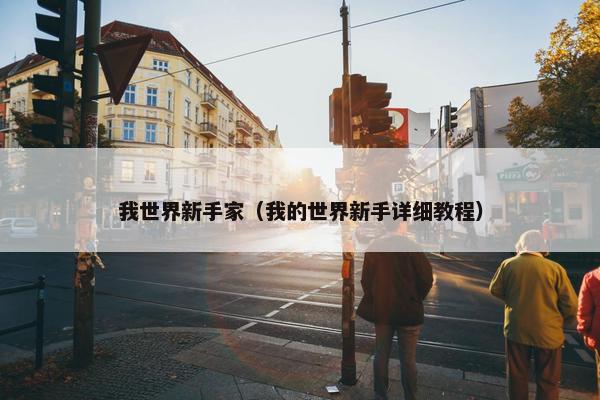 我世界新手家（我的世界新手详细教程）