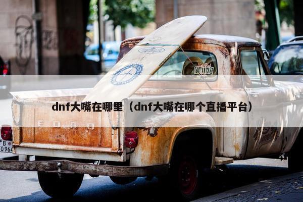dnf大嘴在哪里（dnf大嘴在哪个直播平台）