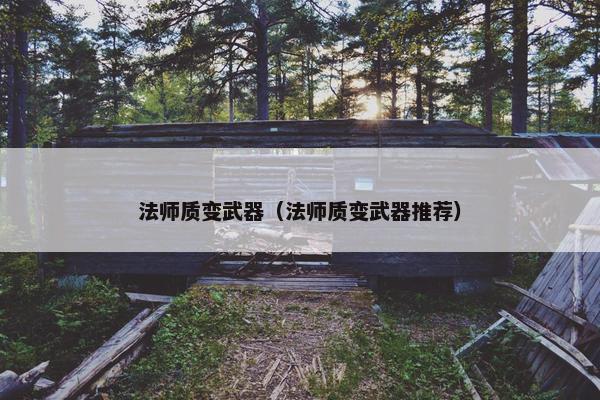 法师质变武器（法师质变武器推荐）