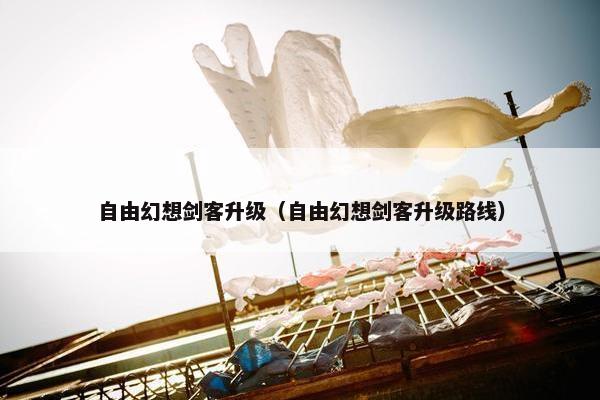 自由幻想剑客升级（自由幻想剑客升级路线）