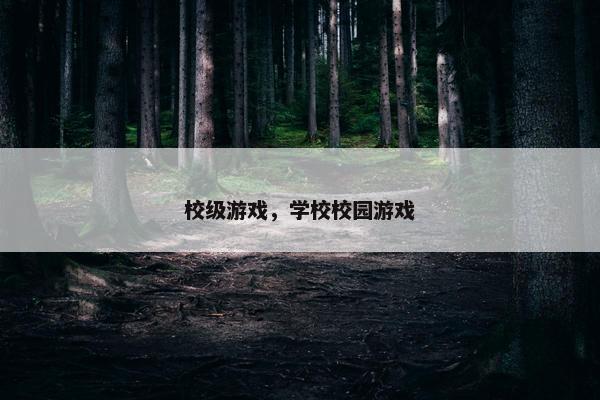 校级游戏，学校校园游戏
