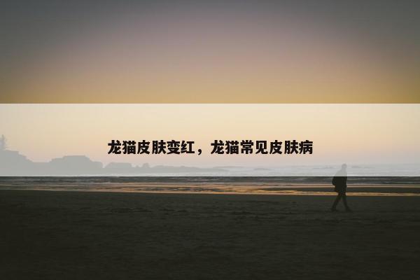 龙猫皮肤变红，龙猫常见皮肤病