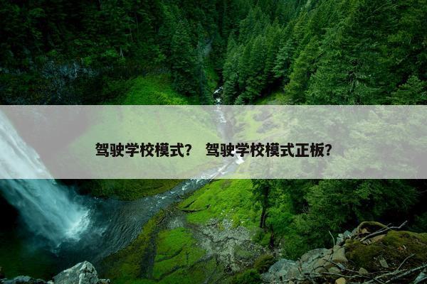 驾驶学校模式？ 驾驶学校模式正板？