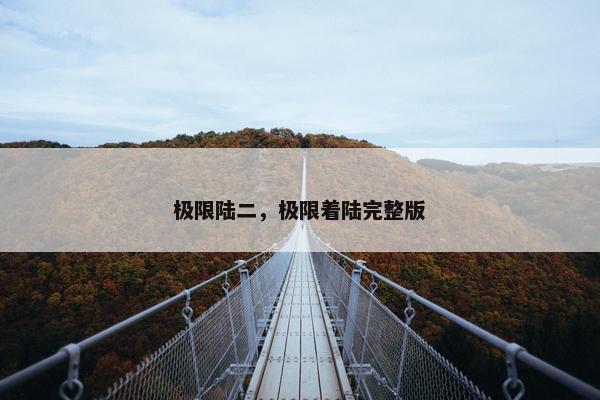 极限陆二，极限着陆完整版