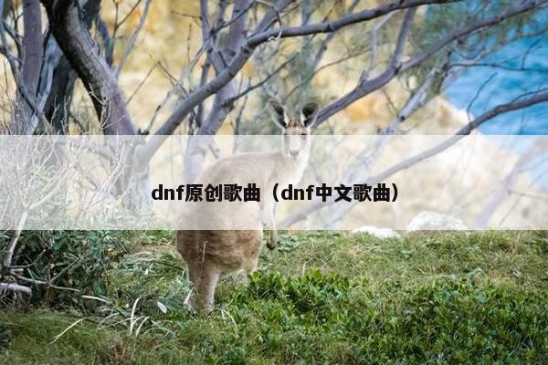 dnf原创歌曲（dnf中文歌曲）