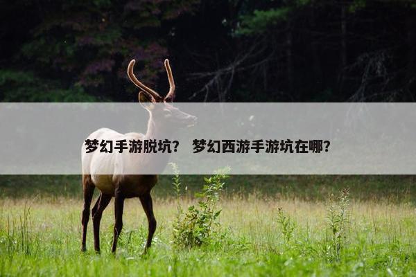 梦幻手游脱坑？ 梦幻西游手游坑在哪？