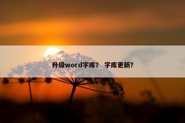 升级word字库？ 字库更新？