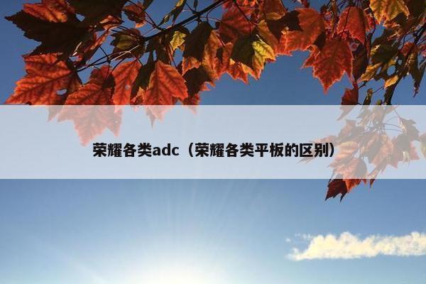 荣耀各类adc（荣耀各类平板的区别）