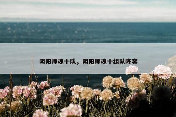 阴阳师魂十队，阴阳师魂十组队阵容