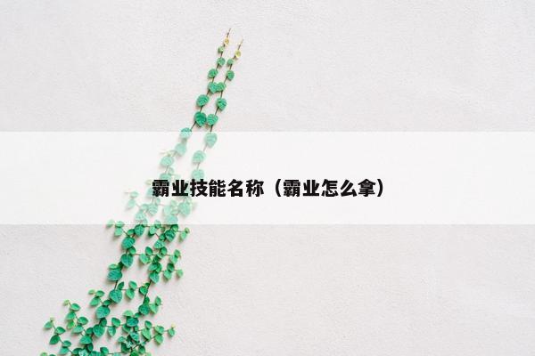 霸业技能名称（霸业怎么拿）