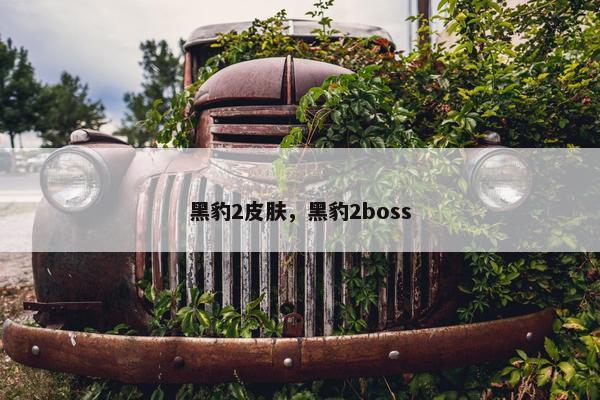 黑豹2皮肤，黑豹2boss