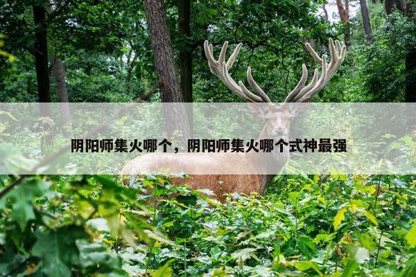 阴阳师集火哪个，阴阳师集火哪个式神最强