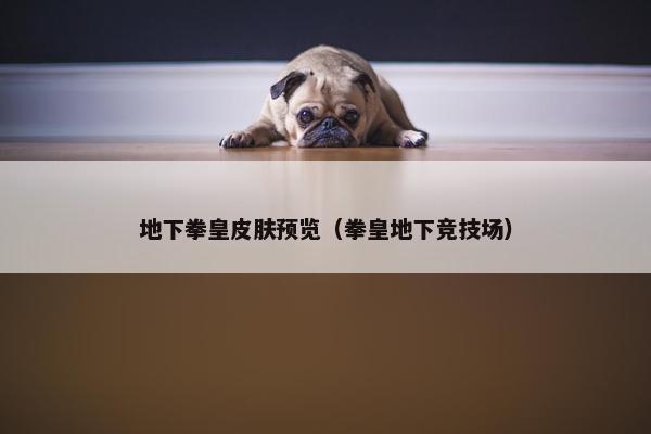 地下拳皇皮肤预览（拳皇地下竞技场）